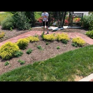 Meet your Posher, Max